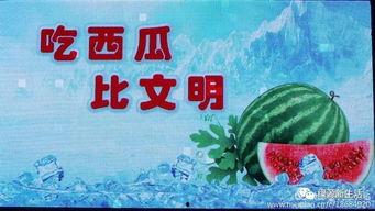 娱乐吃瓜配乐大全下载,娱乐吃瓜必备！盘点热门配乐大全下载攻略  第2张