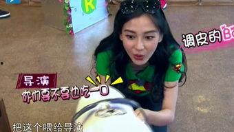 娱乐吃瓜酱笑声在线观看,欢乐无限  第3张